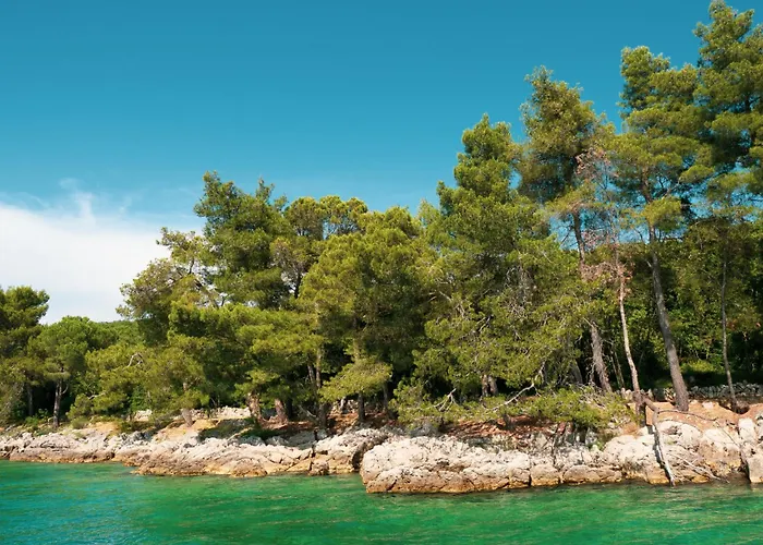 Maravic-1 By Interhome Ferienhaus *